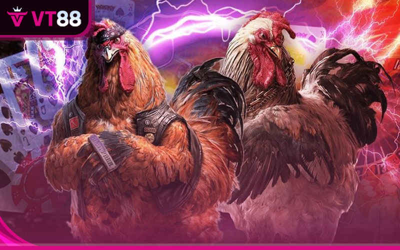 Tận hưởng thế giới đá gà casino vô tận tại VT88