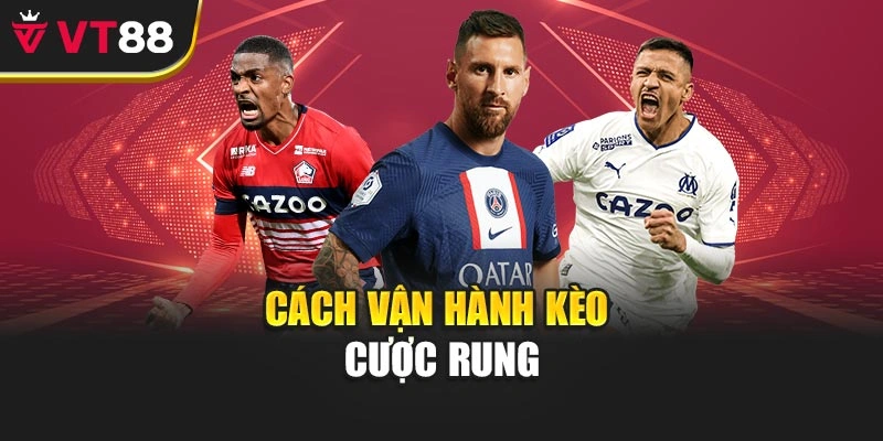 Cách vận hành kèo cược rung