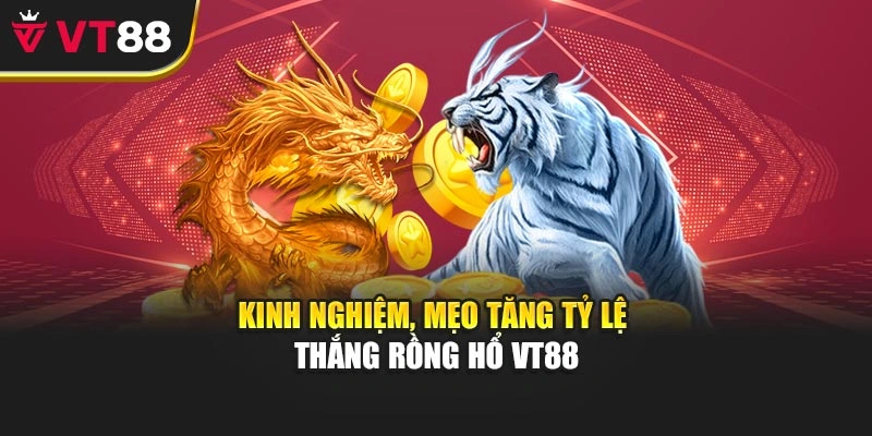 Kinh nghiệm, mẹo tăng tỷ lệ thắng Rồng Hổ VT88