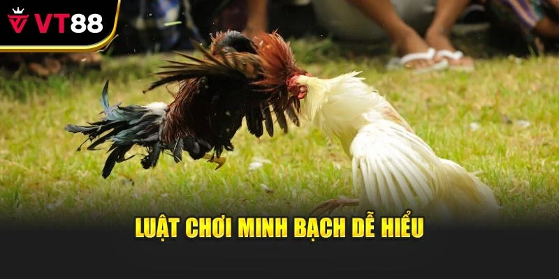 Luật chơi minh bạch dễ hiểu