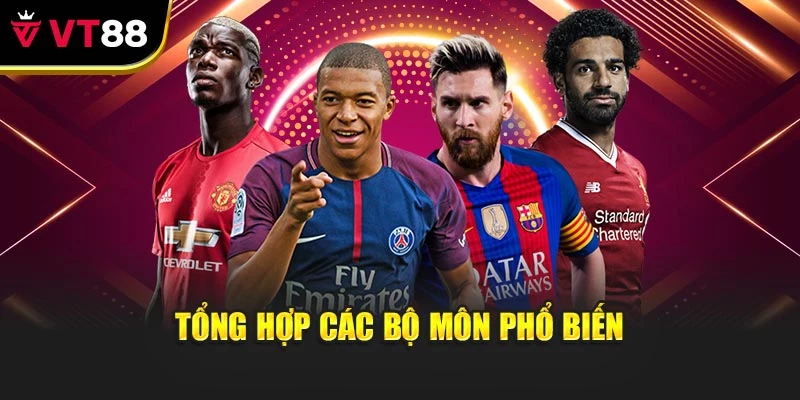 Tổng hợp các bộ môn phổ biến