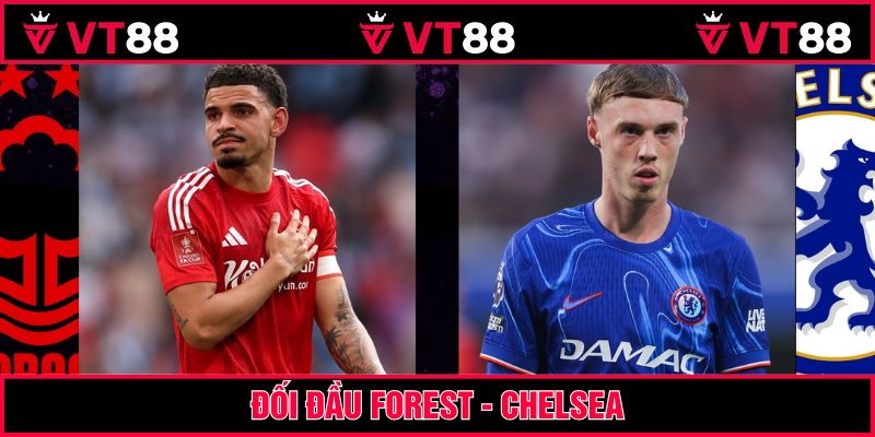 Soi kèo nhận định cặp Forest vs Chelsea
