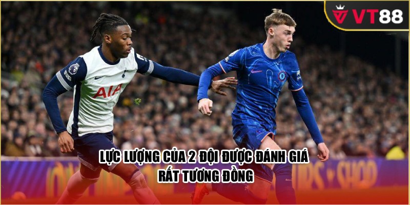 Lực lượng của 2 đội được đánh giá rất tương đồng