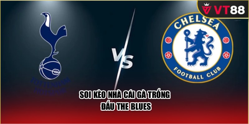 Soi kèo nhà cái Gà trống đấu The Blues